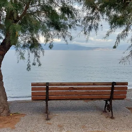 Serenelands Seaside House